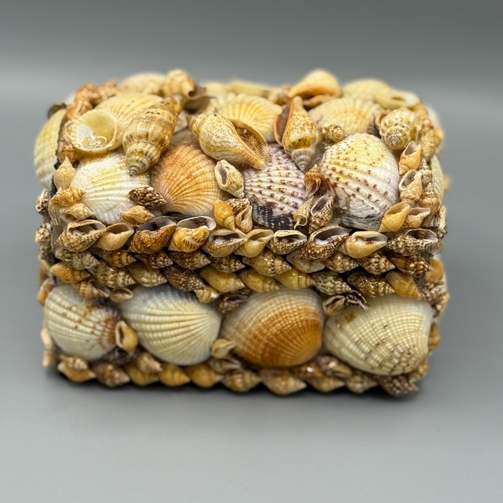 Seashell Decorative Jewelry or Trinket Box 0004